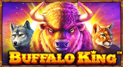 Buffalo King 