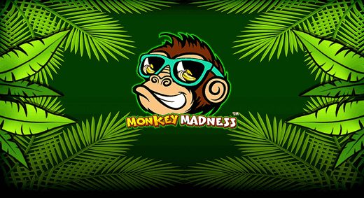 Monkey Madness slot thumbnail